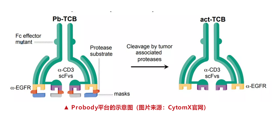 生物资讯图片3.png